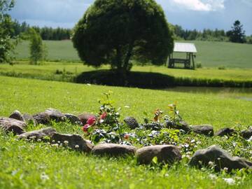 Фото номера Шале Дома для отпуска Künda Holiday Home г. Kündja 10
